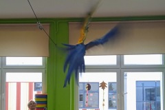 IMG_20221109_102342_1